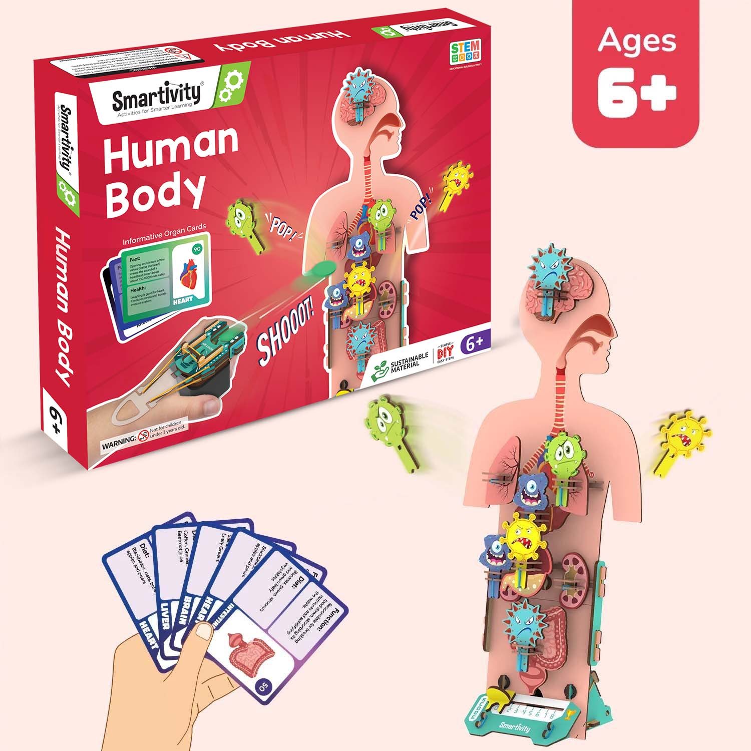Human Body 6-10 Years DIY STEM Construction Toy