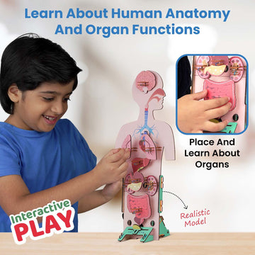 Human Body | 6-10 Years | DIY STEM Construction Toy