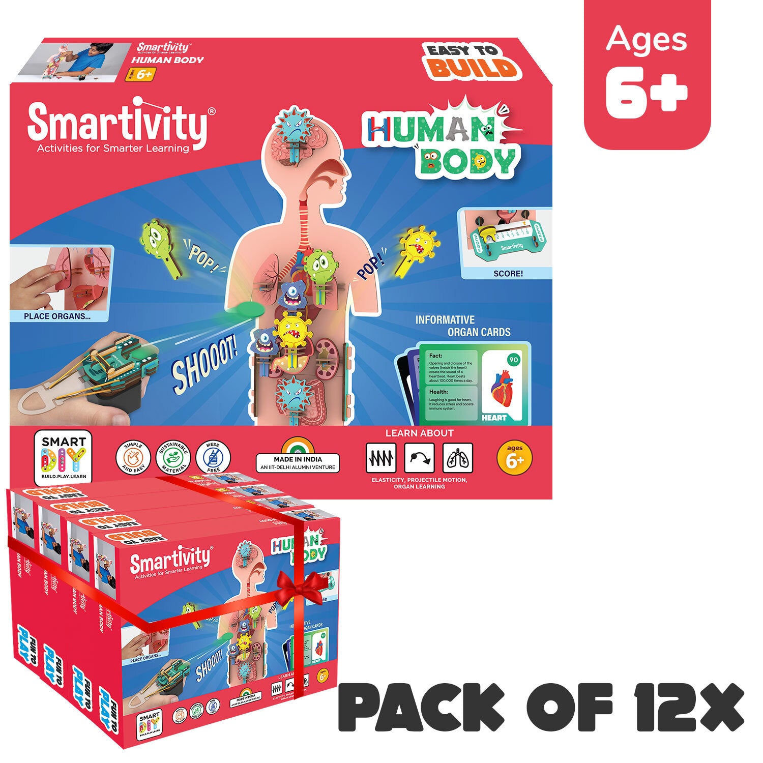 Human Body| A Pack of 12 x 1 Units| Build-it-Yourself 3D Models of Human Body| Perfect Gifts for Curious Kids