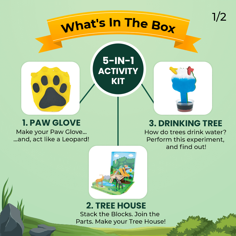 Jungle Explorer | 3-6 Years | DIY Activity Kit 2